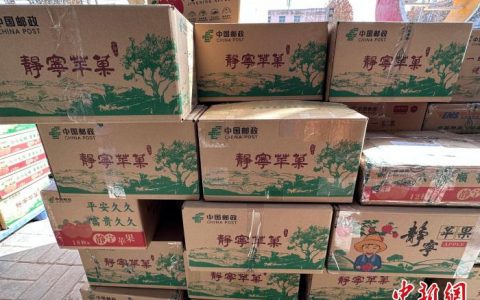 10倍配资 甘肃静宁苹果“远走他乡” “致富果”串起乡村振兴路