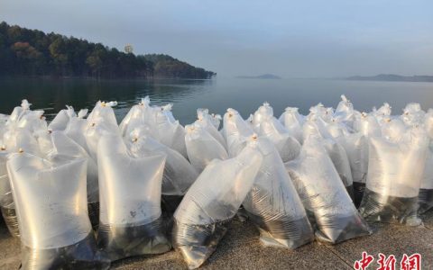 正规配资公司 丹江口库区周边市县首次联合开展鱼类增殖放流
