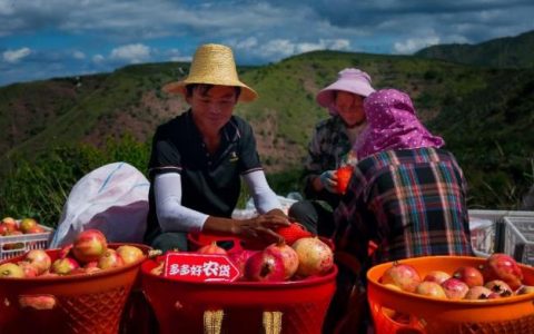 股票配资浙嘉配资 拼多多最新财报：抢占海外消费旺季，助力中国制造加速出海