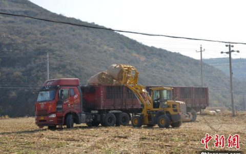 配资利息 山西沁水“秸秆离田养牛” 借助市场手段找出路
