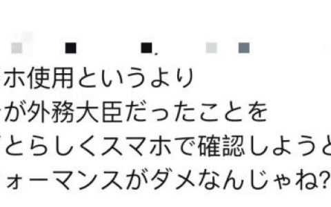 配资机构 国会答辩时不会怎么办？日本内阁官员：让我查查手机