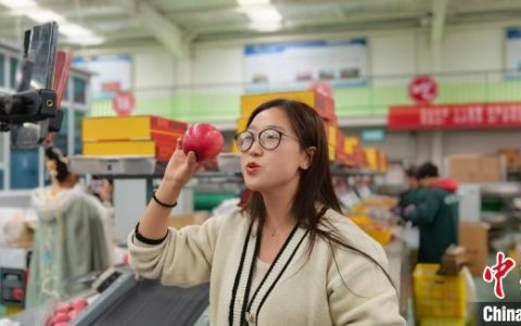 天载配资 甘肃绿色、有机和地理标志农产品达2290个