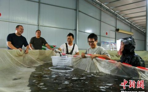 炒股配资开户 （乡村行·看振兴）江西吉安县：“Z世代”小伙养鱼“游”进致富门