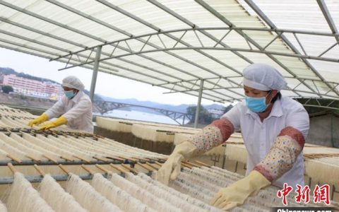 股票期货配资 （走进中国乡村）广西千年古镇“舌尖”非遗“抢滩”东盟市场