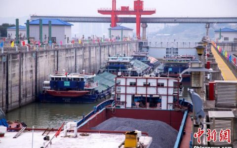 线上股票配资 广西长洲船闸年过货量超1.8亿吨 成中国天然河流过货量最大船闸