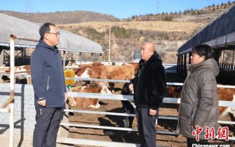 配资知识网 （乡村行·看振兴）山西平定县石门口乡：解锁村级集体经济“增收密码”