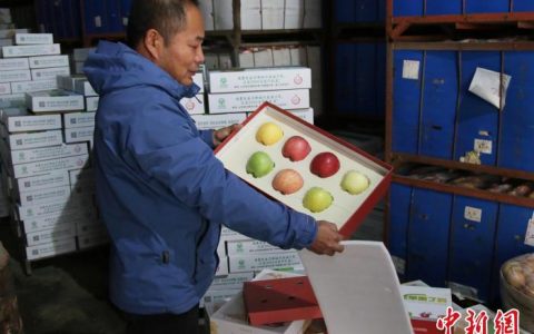 期货配资 （乡村行·看振兴）山东烟台：生态果园里种出“七彩苹果”