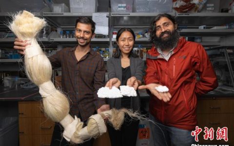 上海股票配资 国际最新材料研究：吸水性强耐干旱植物或可就地取材制作卫生巾