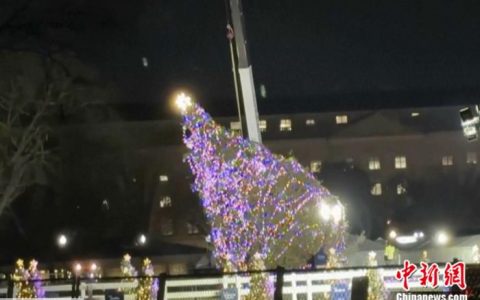 温州股票配资 白宫门口发生这样一幕：美国国家圣诞树被强风吹倒