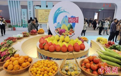 免息配资平台 广西畅通“桂果”供应链 举办“桂字号”秋冬水果产销对接活动