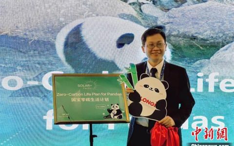 股票配资杠杆 隆基绿能宣布终身认养一只秦岭大熊猫 命名为“嘿猫”