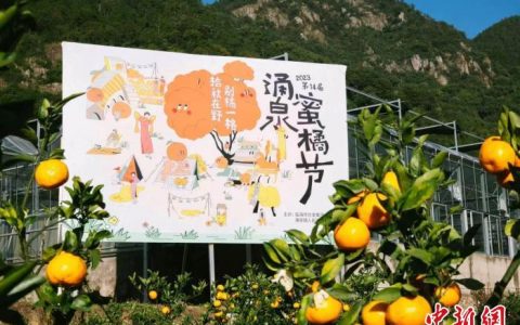 股票配资app 产业特写：冬日里的甜蜜如何“出海”？