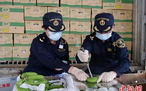 配资炒股 前11个月云南对越南边贸进出口值同比增64.7%