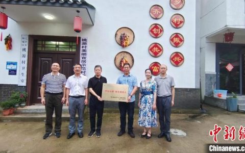 配资炒股 浙江农民大学生以乡村治理促共富 几百家民宿一床难求