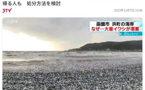 10倍配资 原因不明！日本北海道海岸现大量沙丁鱼尸体(图)