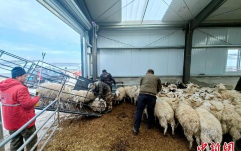 期货配资公司 青海优势特色产业集群产值超440亿元