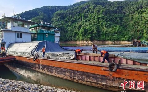 上海股票配资 25吨泰国冻鸡副产品从关累港口岸入境