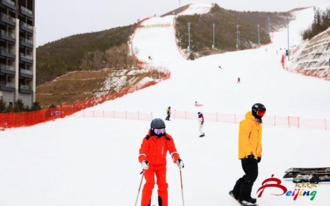 财富牛配资 探索“冰雪+”新玩法 京张联动促冬季文旅消费“升温”