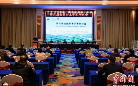 黄金配资 第六届全国杉木学术研讨会福建顺昌举行