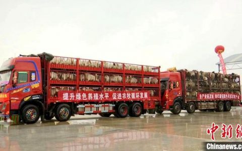 配资网站 青海两年内累计输出农畜产品111万吨总价值225亿元