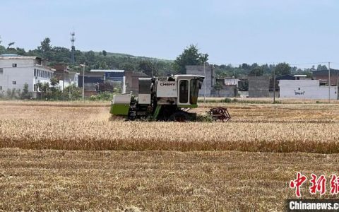 配资公司 夯实粮食安全根基 陕西多举措建设高标准农田建设