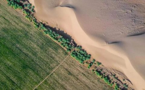 专业股票配资平台 乳业低碳发展启示录：除了种树，我们还能做什么