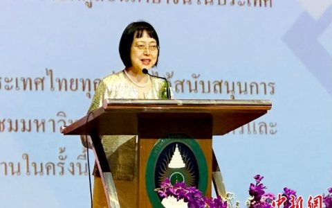 正规股票配资 泰国本土中文教师研讨专业提升与职业发展
