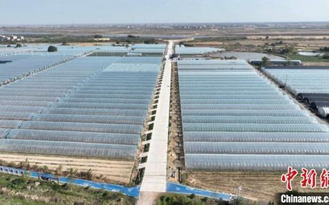 炒股配资平台 （乡村行·看振兴）江西南昌：培育壮大特色产业 闯出富民增收“新路子”