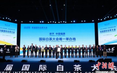 免息配资 首届国际白茶大会在“中国白茶之乡”福建福鼎举办