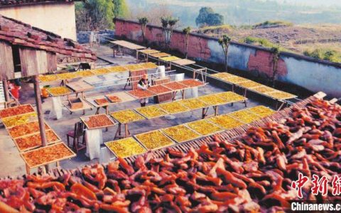 股票配资推荐 浙江县域观察：小小番薯干化为致富“黄金条”