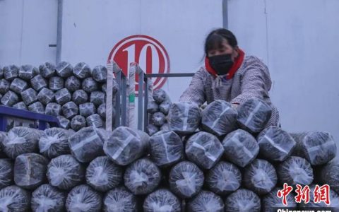 在线配资网站 （乡村行·看振兴）太行山村庄“抱团”发展：一村富、整片兴