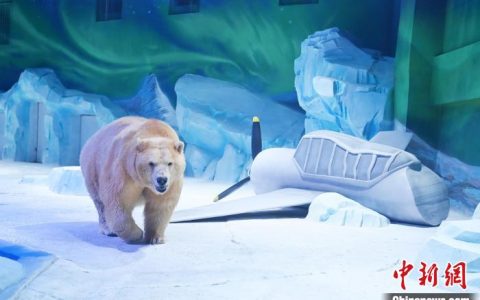 配资网 长沙湘江欢乐海洋公园开园 打造文旅消费新地标