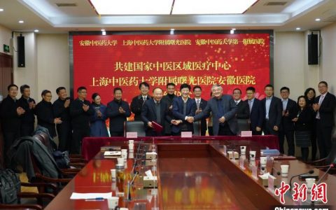 配资门户 安徽首个国家中医区域医疗中心项目开工