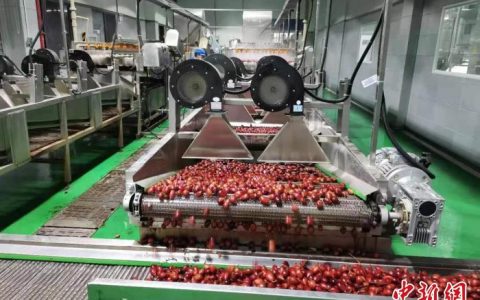 360配资 云南怒江全产业链发展破解草果产业发展瓶颈