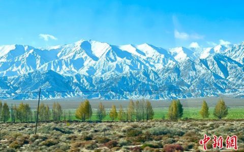 股票配资平台 柴达木盆地可开发耕地后备资源达20.1万亩