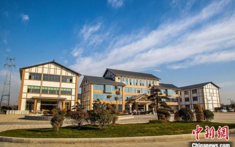 股票配资平台 （乡村行·看振兴）鄱阳湖畔豆参香 直播电商助力江西湖口“点豆成金”