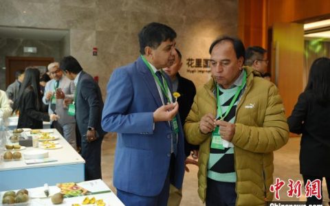 股票配资炒股 四川将加强猕猴桃产业国际合作