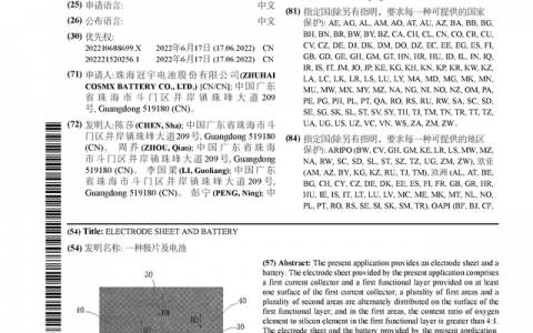 珠海冠宇公布国际专利申请：“一种极片及电池”