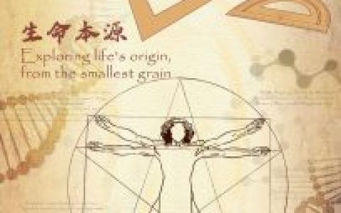 财富牛配资 长图解读：从医学到科技，中国智汇筑梦“一带一路”