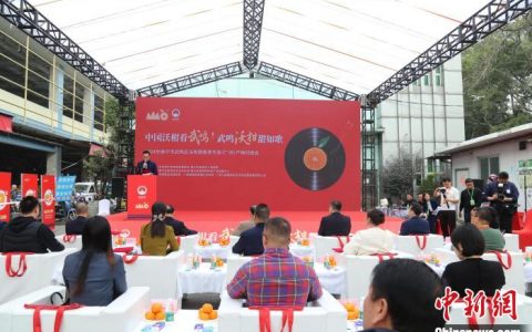 广州期货配资 广西“武鸣沃柑”叩开区外水果市场大门