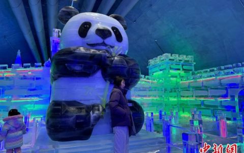 配资炒股公司 韩国华川山鳟鱼庆典开幕 首日游客超10万人