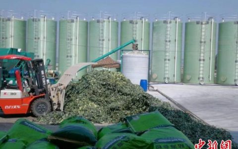 无息外盘配资 产业观察：“中国西兰花之乡”如何变废为宝？