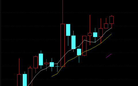 超级慢牛浮现，这些股获社保与QFII长线重仓（附名单）