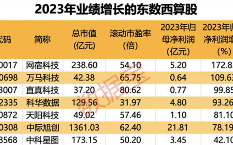 新质生产力的“重要引擎”！市场需求大+国产替代加速 这些“东数西算”概念股业绩释放