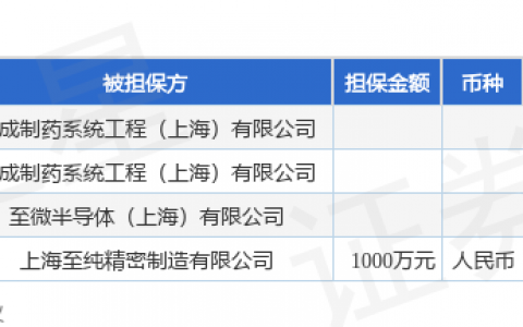 至纯科技披露4笔对外担保，被担保公司达3家
