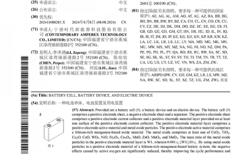 宁德时代公布国际专利申请：“一种电池单体、电池装置及用电装置”